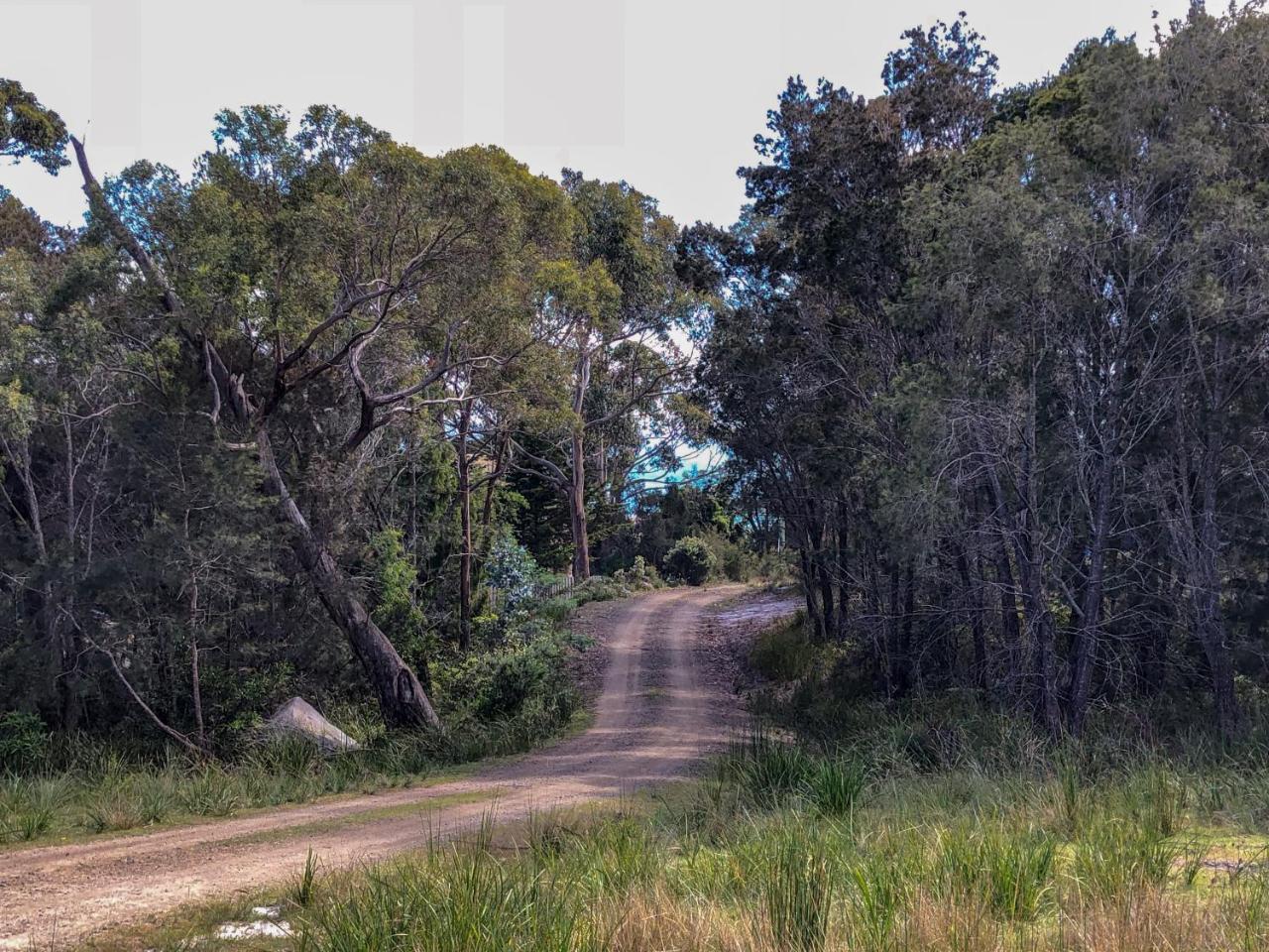 Vila Bay Of Fires Eco Hut Off Grid Experience At Binalong Bay Exteriér fotografie